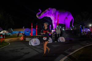 BIB: 
                            <button type="button" onclick="openModal(26552125)" class="btn btn-primary btn-sm float-right btn-popup" data-toggle="modal" data-target=".modal-high-quality">
                        <i class="fas fa-shopping-cart"></i> Add to Cart
                    </button>
                                            <button type="button" onclick="isThisMe(26552125, true)" class="btn btn-success btn-sm float-right btn-popup btn-isme hidden" data-toggle="tooltip" data-placement="bottom" title="นี่คือรูปของคุณใช่ไหม คลิกที่นี่เพื่อเอาเข้าอัลบั้ม">
                        <i class="fas fa-plus"></i> Add to album
                    </button>
                    <button type="button" onclick="isThisMe(26552125, false)" class="btn btn-warning btn-sm float-right btn-popup btn-isnotme hidden">
                        <i class="fas fa-ban"></i> Remove from album
                    </button>